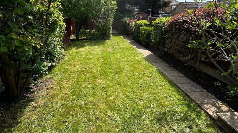 garden-maintenance-chigwell garden maintenance Chigwell